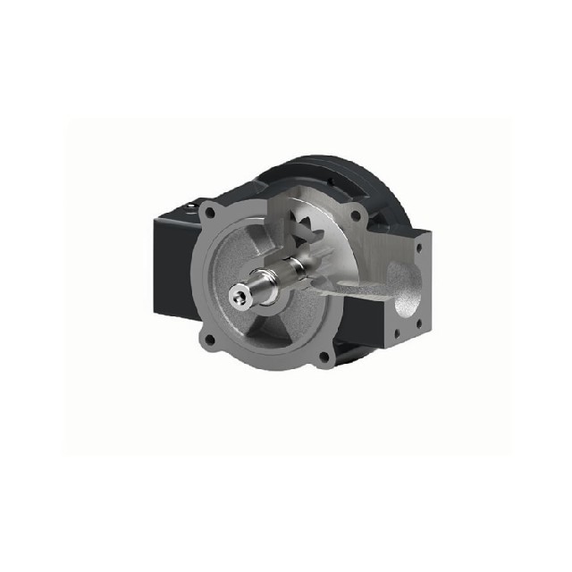 德國原裝進口Rickmeier齒輪泵R4.5/035 FL-Z-G050-UNI-SD010